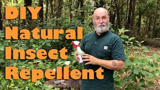 Natural Insect Repellent with Beautyberry [upl. by Niccolo]