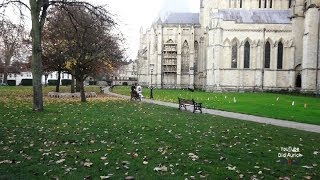 England UK York Minster Park Deans Park Vereinigtes Königreich United Kingdom Garden in York [upl. by Aitnahc266]