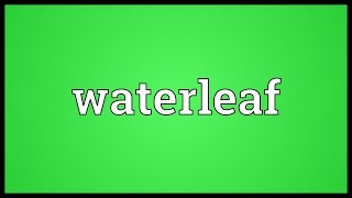 Waterleaf Meaning [upl. by Dido584]