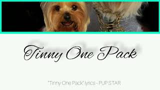 quotTinny One Packquot lyrics  PUP STAR [upl. by Conway469]