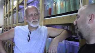 DISCUS HANS INTERVIEW PART 1 Fish house tour introduce Hans [upl. by Dronel]