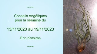 Conseil Angéliques semaine du 13112023 au 19112023 [upl. by Irving815]