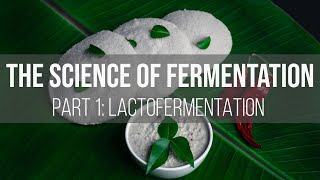 The Science of Fermentation Lactofermentation [upl. by Attiuqihc]