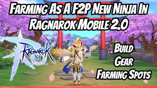 Farming as a F2P New Ninja in Ragnarok Mobile 20  Build Gear and Farming Spots Guide [upl. by Ieppet]