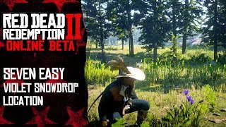 7 easy violet snowdrop locations  Red Dead Redemption 2 Online [upl. by Lonyer182]