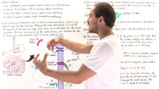 Cholera and GProtein Coupled Signaling [upl. by Fabrin]