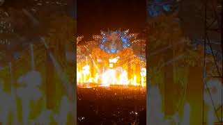 Martin Garrix  Animals  untold 2024 shortsfeed thoughts trending [upl. by Mears]