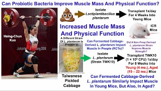 L plantarum Increases Muscle Mass And Physical Function Part II [upl. by Omissam]