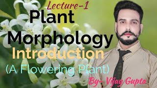 Plant Morphology Introduction  A Flowering Plant Lecture1class11 amp BSc2 [upl. by Zil114]