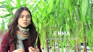 Sustainable Agriculture BSc  Video Made by Students [upl. by Watt]