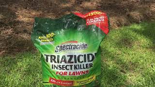 Spectracide Triazicide Insect Killer 3 Day Review [upl. by Weidman]