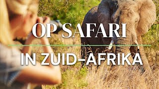 Op Safari in Zuid Afrika [upl. by Jaquith]