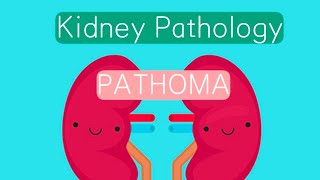 Kidney Pathology PATHOMA 6Last  Chronic Renal Failure  Renal Carcinoma [upl. by Paolina949]