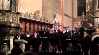 Tage wie diese  Die Toten Hosen A Cappella Vocalensemble Mittendrin [upl. by Jessica]