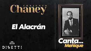 Conjunto Chaney  El Alacrán  Salsa [upl. by Jard]