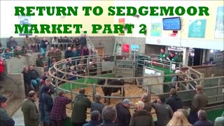 RETURN TO SEDGEMOOR MARKET PART 2 [upl. by Adin]