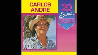 Carlos André  20 Super Sucessos Completo  Oficial [upl. by Snapp987]