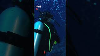 The story of the Great Barrier Reef is one of natures wonders explore shorts travel [upl. by Opiak]