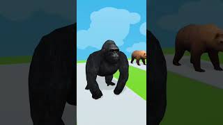 Gorilla basketball video funny animal cartoon animation shorts [upl. by Lucais]