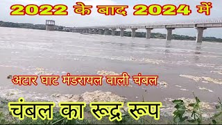 Chambal tour  2024 Chambal nadi river  चंबल नदी का वीडियो [upl. by Rednaskela548]