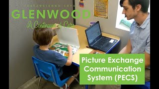 Introduction to PECS Picture Exchange Communication System [upl. by Eenahpets]