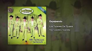 Espejeando  Los Tucanes De Tijuana Audio Oficial [upl. by Eiclud527]