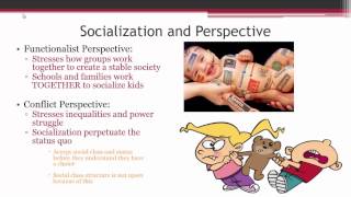 Socialization Overview [upl. by Daile]