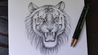 How To Draw A Realistic Tiger Head [upl. by Renba]