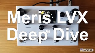 Meris LVX Deep Dive  all delay types effects filters and more [upl. by Ekle675]