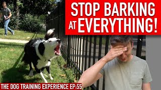 How to Train Your Dog to STOP BARKING at EVERYTHING That Moves [upl. by Omixam]