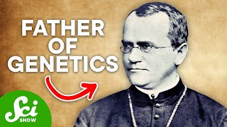 The Man Who Discovered Dominant amp Recessive Genes Meet Gregor Mendel [upl. by Lilybel]