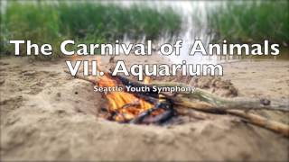 The Carnival of Animals VII Aquarium  Camille SaintSaëns 12 Hour Loop Le carnaval des animaux [upl. by Ayenat]