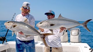 Absolutely INSANE Topwater Amberjack Fishing Action  4K [upl. by Barram365]