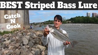 Best Lure For Striped Bass How To Catch Striped Bass From Shore  Catch amp Cook  SFSC [upl. by Cris]