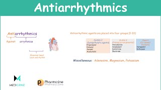 Antiarrhythmic Agents Pharmacology Classifications Examples and Notes [upl. by Annehcu]