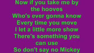 Hey Mickey Lyrics [upl. by Mchenry192]