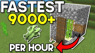 FASTEST Easiest Sugarcane Farm Minecraft Bedrock 121 [upl. by Madea382]