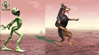 Dame Tu Cosita  Dog Dance  Chú Chó Nhảy Cùng Người Ngoài Hành Tinh [upl. by Nnyltiak]