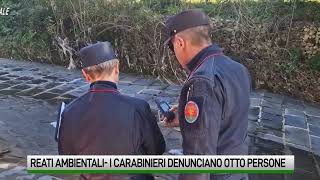 Reati ambientali In Irpinia denunciate otto persone [upl. by Dlared]