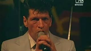 Herman Brood amp his Wild Romance  Live  TILBURG 1997 Better sound [upl. by Valerlan]