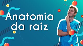 Anatomia da raiz  Brasil Escola [upl. by Conti]