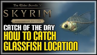 How to Catch Glassfish Skyrim [upl. by Hayyifas592]