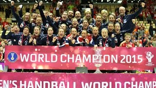 Netherlands VS Norway Handball final Womens World Championship Denmark 2015 [upl. by Novrej]