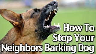 How To Stop Your Neighbor’s Dog From Barking  Short Version [upl. by Auqkinahs]