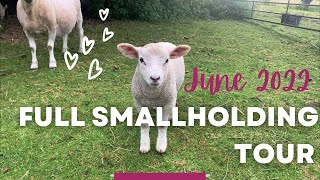 Full Smallholding TOUR  June 2022  UK Homestead [upl. by Anesusa]