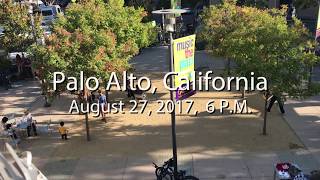 Finlandia Flash Mob  Palo Alto California [upl. by Ecnerewal137]