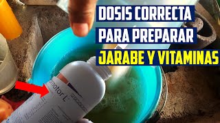 Como Alimentar a tus Abejas usando Azucar Vitaminado  apicultura [upl. by Berty]