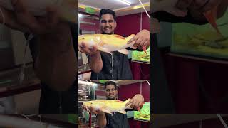 Monster Catfish இவ்வளவு பெருசா வளருமா catfish coimbatore btaqua prasanth360 [upl. by Ycak]