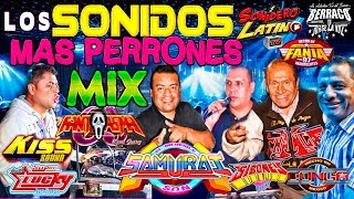 LOS SONIDOS MAS PERRONES MIX  SAMURAI  SIBONEY  CONGA LA CHANGA  FANIA 97  KISS  FANTASMA [upl. by Naga]