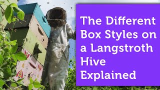 The Boxes of a Langstroth Hive Explained [upl. by Asillam]